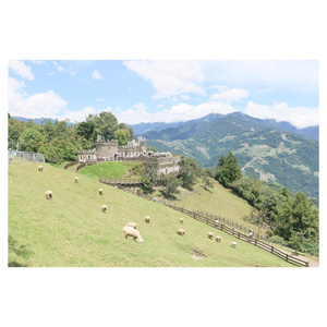 六月婷婷久香在线视频
