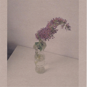 六月婷婷久香在线视频
